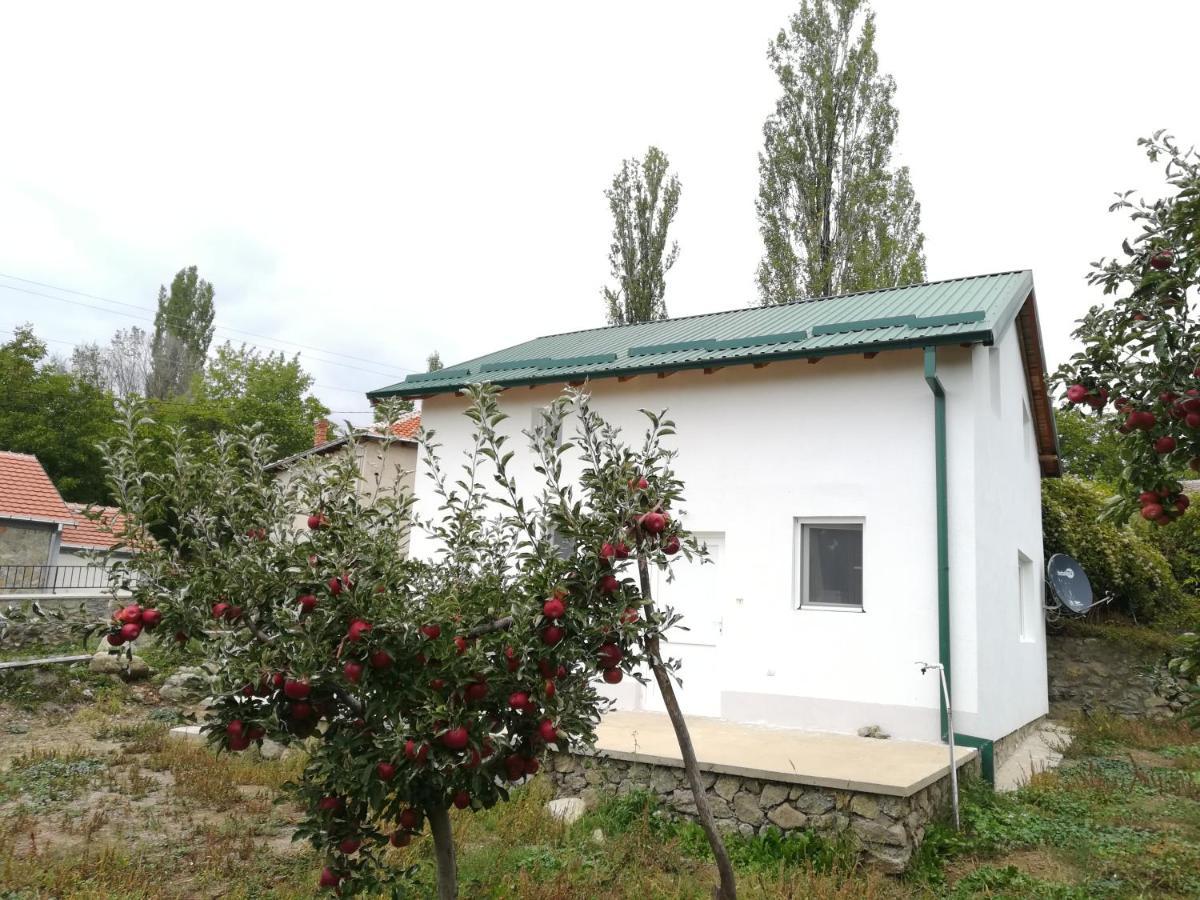 Villa Lila Dolno Dupeni Εξωτερικό φωτογραφία