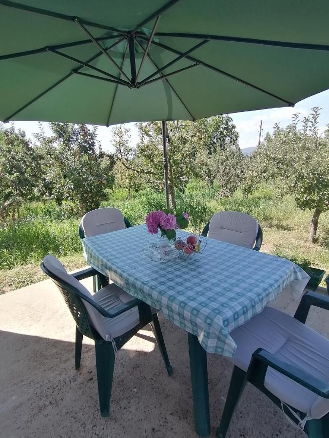 Villa Lila Dolno Dupeni Εξωτερικό φωτογραφία