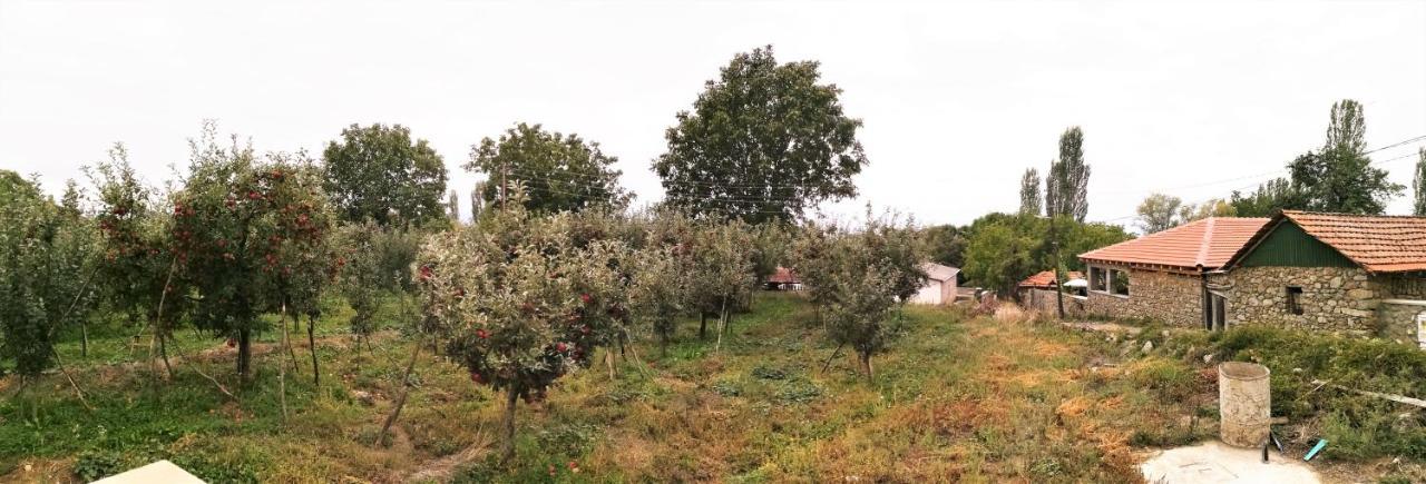 Villa Lila Dolno Dupeni Εξωτερικό φωτογραφία