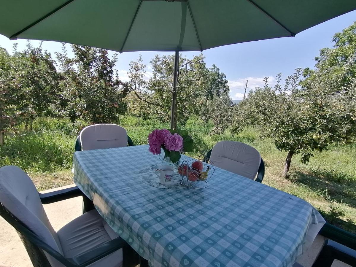 Villa Lila Dolno Dupeni Εξωτερικό φωτογραφία