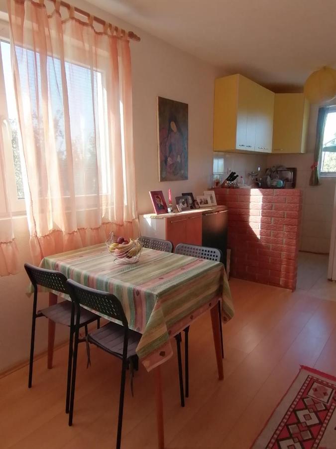 Villa Lila Dolno Dupeni Εξωτερικό φωτογραφία