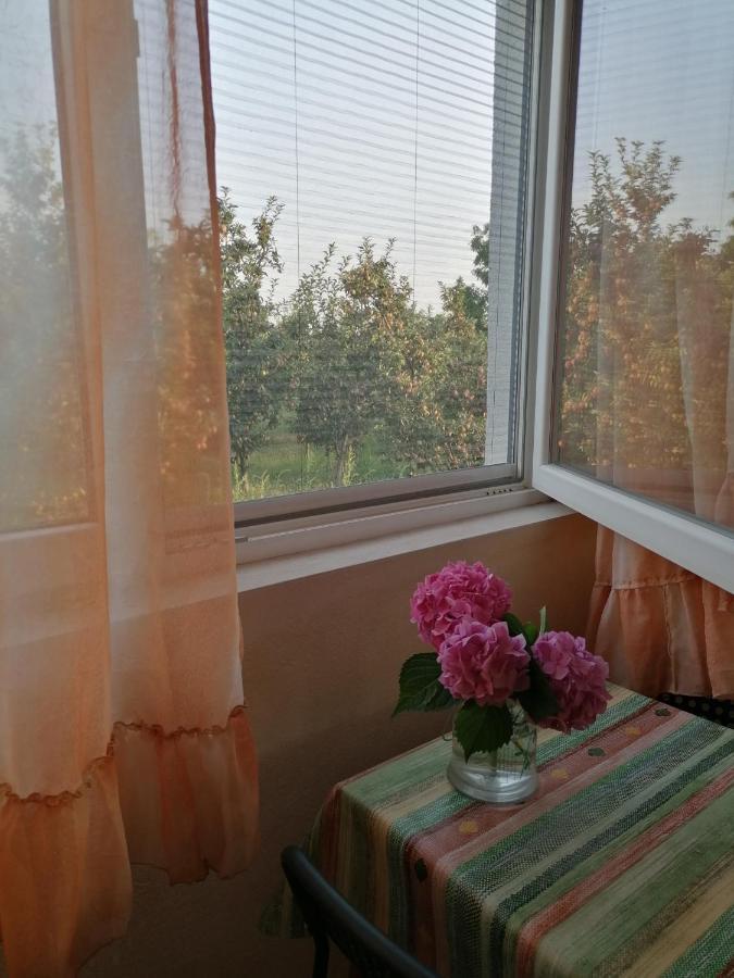 Villa Lila Dolno Dupeni Εξωτερικό φωτογραφία